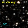 V* OV Aql