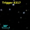 Trigger  6317