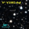 V* V1082 Aql