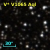 V* V1065 Aql