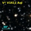 V* V1411 Aql