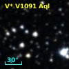 V* V1091 Aql