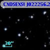 CXOSEXSI J022256.2+422122
