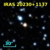 IRAS 20230+1137