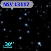 NSV 13117