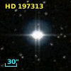 HD 197313