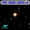 TYC 3918-1875-1