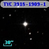 TYC 3918-1909-1