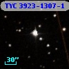 TYC 3923-1307-1