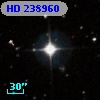 HD 238960