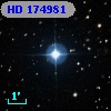HD 174981