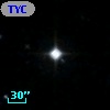 TYC 1495-1305-1