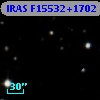 IRAS F15532+1702