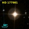 HD 177981