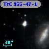 TYC  955-47-1