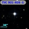 TYC  955-858-1