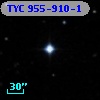 TYC  955-910-1