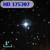 HD 175307