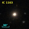 IC 1163