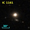 IC 1161
