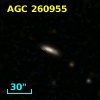 AGC 260955