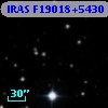 IRAS F19018+5430