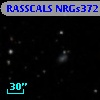 RASSCALS NRGs372