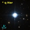 * q Her