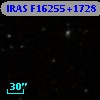 IRAS F16255+1728