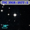 TYC 3918-1877-1
