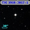 TYC 3918-2017-1