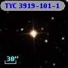 TYC 3919-101-1