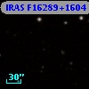IRAS F16289+1604
