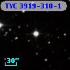 TYC 3919-310-1