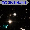 TYC 3919-614-1
