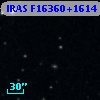 IRAS F16360+1614