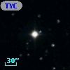 TYC 1519-1384-1