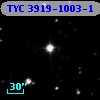 TYC 3919-1003-1