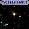 TYC 3919-1166-1