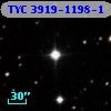 TYC 3919-1198-1