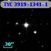 TYC 3919-1341-1