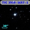 TYC 3919-1687-1