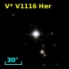 V* V1116 Her