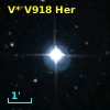 V* V918 Her