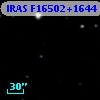 IRAS F16502+1644
