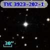 TYC 3923-202-1