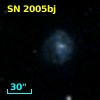 SN 2005bj