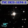 TYC 3923-1174-1