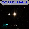 TYC 3923-1300-1