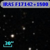 IRAS F17142+1800